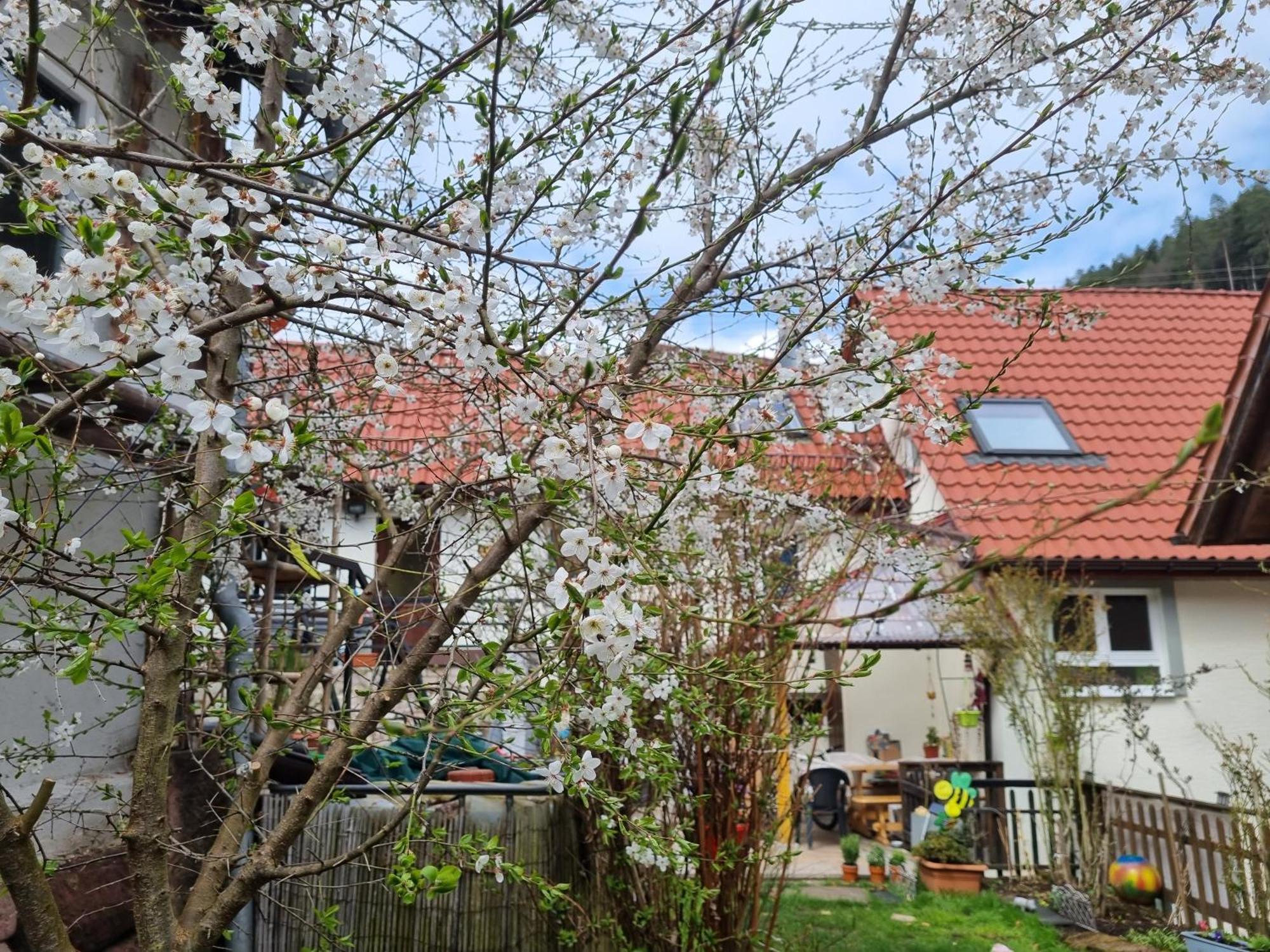 Ferienwohnung Tal-Eck Bad Teinach-Zavelstein Luaran gambar