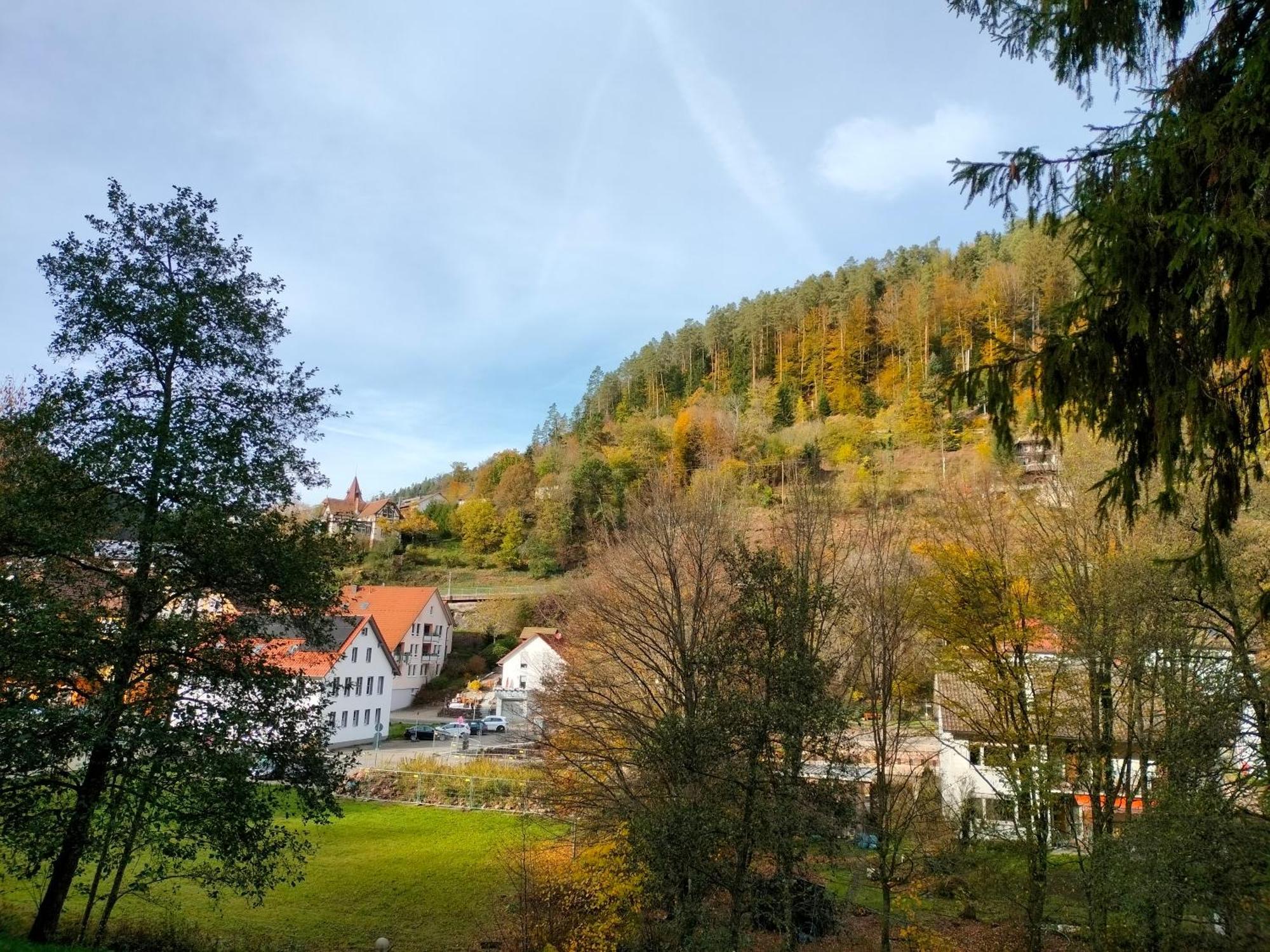 Ferienwohnung Tal-Eck Bad Teinach-Zavelstein Luaran gambar