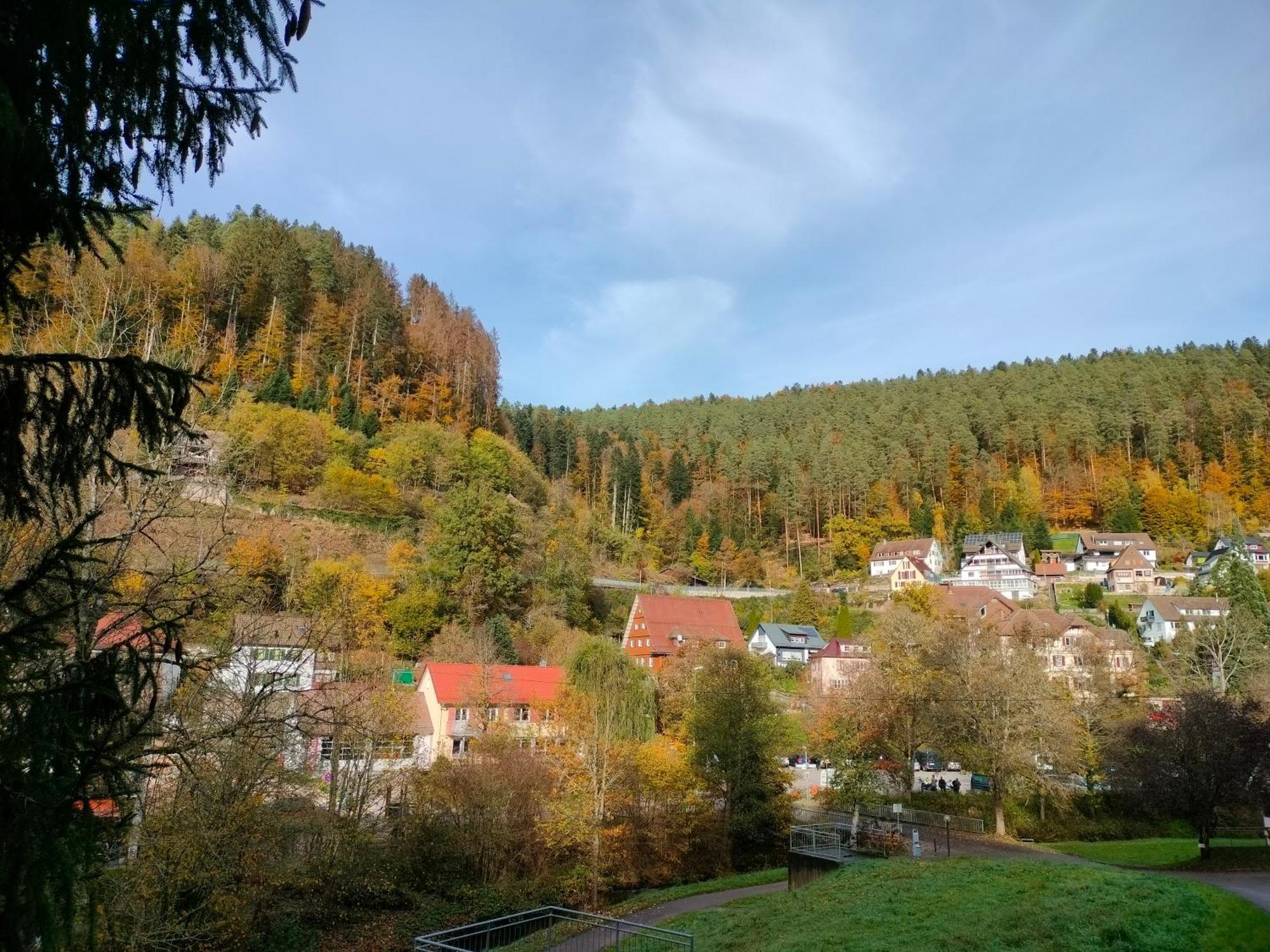 Ferienwohnung Tal-Eck Bad Teinach-Zavelstein Luaran gambar