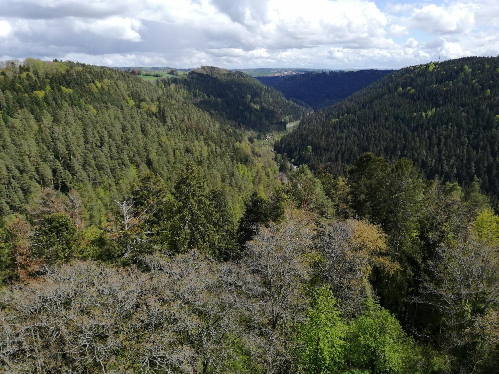 Ferienwohnung Tal-Eck Bad Teinach-Zavelstein Luaran gambar