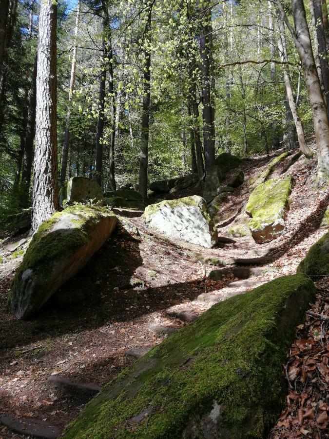 Ferienwohnung Tal-Eck Bad Teinach-Zavelstein Luaran gambar