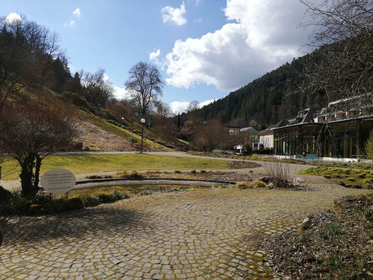 Ferienwohnung Tal-Eck Bad Teinach-Zavelstein Luaran gambar